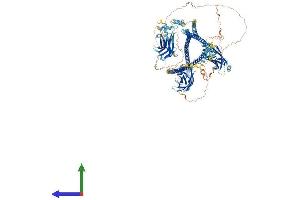 AlphaFold protein structure predicition of Mouse Recombinant Rpgrip1l Protein, UniprotID Q8CG73