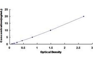 Typical standard curve (COL15 ELISA Kit)
