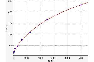 PIN1 ELISA Kit