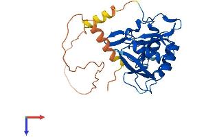 CTDSP2 Protein (AA 1-271) (His tag)