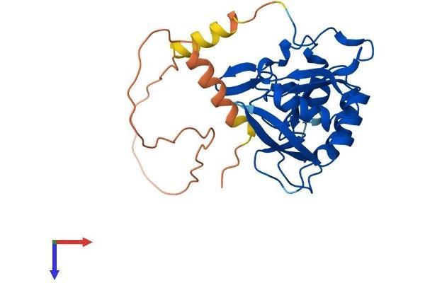 CTDSP2 Protein (AA 1-271) (His tag)