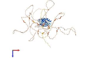 Ataxin 1-Like Protein (ATXN1L) (AA 1-689) (His tag)