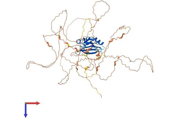 Ataxin 1-Like Protein (ATXN1L) (AA 1-689) (His tag)