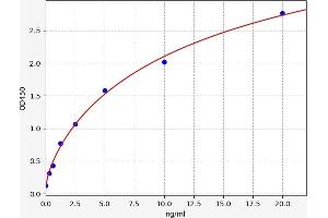 Typical standard curve (SDHD ELISA Kit)