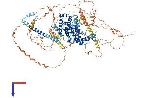 TBC1D30 Protein (AA 1-924) (His tag)