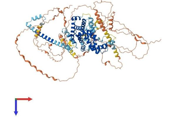 TBC1D30 Protein (AA 1-924) (His tag)
