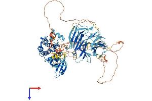 MAP4K1 Protein (AA 1-827) (His tag)