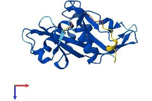 NUDT16 Protein (AA 1-195) (His tag)