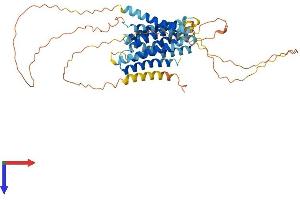 SLC39A7 Protein (AA 1-469) (His tag)