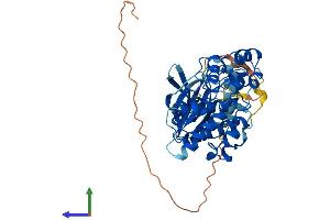Protein Structure (PS) image for Mitogen-Activated Protein Kinase 9 (MAPK9) (AA 1-423) protein (His tag) (ABIN7565208)