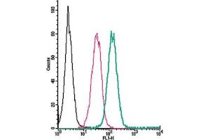 Cell surface detection of GABA(B) Receptor 1 by direct flow cytometry in live intact human  monocytic leukemia cells: + Rabbit IgG isotype control-FITC.