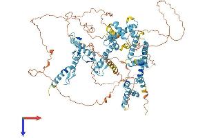 AlphaFold protein structure predicition of Human Recombinant ZSCAN29 Protein, UniprotID Q8IWY8