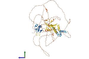 Protein Structure (PS) image for RING Finger Protein 6 (RNF6) (AA 1-685) protein (His tag) (ABIN7555250)