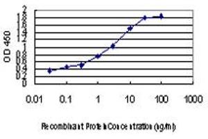 Detection limit for recombinant GST tagged PLD2 is approximately 0. (Phospholipase D2 Antikörper  (AA 834-933))