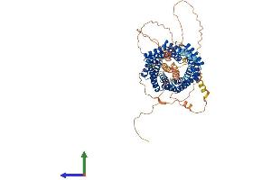 AlphaFold protein structure predicition of Mouse Recombinant Gpsm2 Protein, UniprotID Q8VDU0