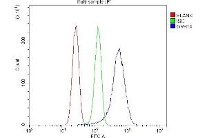 Flow Cytometry analysis of U87 cells using anti-GRB14 antibody (ABIN7599149).