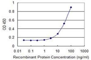 Detection limit for recombinant GST tagged RPS8 is 1 ng/ml as a capture antibody. (RPS8 Antikörper  (AA 109-207))
