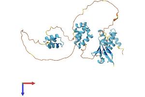 RAD23A Protein (AA 1-363) (His tag)