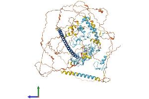 AlphaFold protein structure predicition of Mouse Recombinant Myt1 Protein, UniprotID Q8CFC2