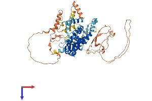 TBC1D3 Protein (AA 1-549) (His tag)