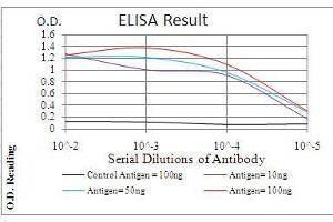 ELISA image for anti-Transcription Factor AP-2 alpha (Activating Enhancer Binding Protein 2 Alpha) (TFAP2A) (AA 1-100) antibody (ABIN5542420)