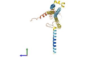 Protein Structure (PS) image for BRI3 Binding Protein (BRI3BP) (AA 1-253) protein (His tag) (ABIN7559009)