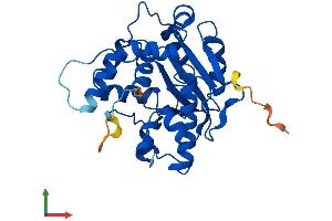 Protein Structure (PS) image for CCR4-NOT Transcription Complex, Subunit 7 (CNOT7) (AA 1-285) protein (His tag) (ABIN7557619)