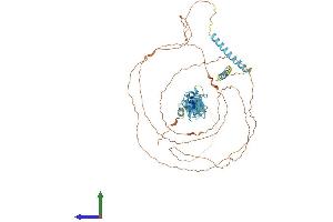 Protein Structure (PS) image for LIM Domains Containing 1 (LIMD1) (AA 1-668) protein (His tag) (ABIN7565145)