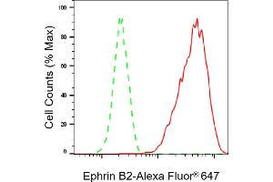 Flow cytometric analysis of Ephrin B2 expression in HAP-1 cells using Ephrin B2 antibody (ABIN7798458), 1:2,000). (Rekombinanter Ephrin B2 Antikörper)