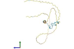 AlphaFold protein structure predicition of Human Recombinant ZCCHC10 Protein, UniprotID Q8TBK6