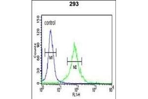 WTX Antibody (Center) (ABIN390467 and ABIN2840835) flow cytometric analysis of 293 cells (right histogram) compared to a negative control cell (left histogram). (WTX Antikörper  (AA 681-708))