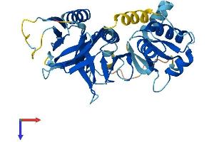 Pleckstrin 2 Protein (PLEK2) (AA 1-353) (His tag)