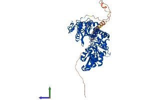 AlphaFold protein structure predicition of Mouse Recombinant Gad1 Protein, UniprotID P48318