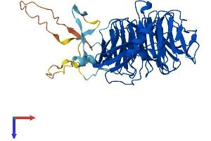 GRWD1 Protein (AA 1-446) (His tag)