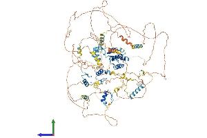 Protein Structure (PS) image for Teashirt Zinc Finger Homeobox 1 (TSHZ1) (AA 1-1077) protein (His tag) (ABIN7555859)