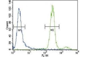 HGF antibody flow cytometric analysis of CEM cells (green) compared to a negative control (blue).