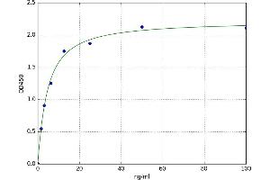 A typical standard curve
