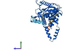 Protein Structure (PS) image for Diacylglycerol O-Acyltransferase 2 (DGAT2) (AA 1-388) protein (His tag) (ABIN7553643)