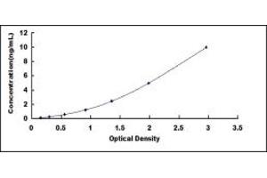 Typical standard curve (Glypican 3 ELISA Kit)