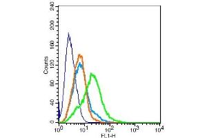RSC96 probed with MC4 Receptor Polyclonal Antibody, Unconjugated  at 1:100 for 30 minutes followed by incubation with a conjugated secondary -FITC) (green) for 30 minutes compared to control cells (blue), secondary only (light blue) and isotype control (orange). (MC4R Antikörper  (AA 1-50))