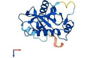 UBE2QL1 Protein (AA 1-161) (His tag)