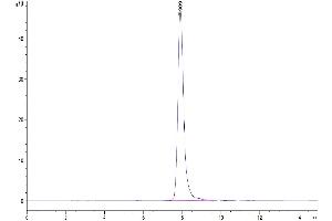 Size-exclusion chromatography-High Pressure Liquid Chromatography (SEC-HPLC) image for CD46 (CD46) (AA 35-343) protein (His tag) (ABIN7274180)