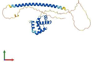 Protein Structure (PS) image for Coiled-Coil Domain Containing 106 (CCDC106) (AA 1-280) protein (His tag) (ABIN7553003)