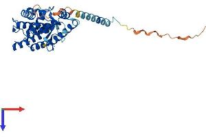 Metaxin 1 Protein (MTX1) (AA 1-317) (His tag)