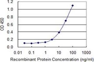 Detection limit for recombinant GST tagged CLDN16 is 0. (Claudin 16 Antikörper  (AA 1-73))