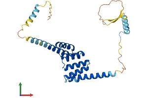 Protein Structure (PS) image for Tetratricopeptide Repeat Domain 33 (TTC33) (AA 1-262) protein (His tag) (ABIN7544759)