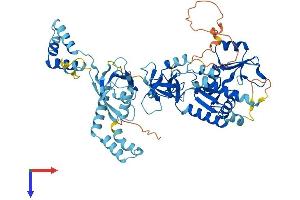MPP7 Protein (AA 1-576) (His tag)