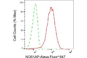 Flow cytometric analysis of NOS1AP expression in HepG2 cells using NOS1AP antibody (ABIN7799605), 1:2,000). (Rekombinanter NOS1AP Antikörper)