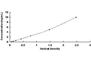 Typical standard curve (FYN ELISA Kit)