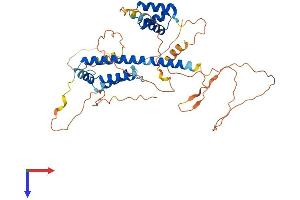 PKNOX1 Protein (AA 1-436) (His tag)